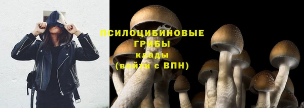 гашишное масло Аркадак