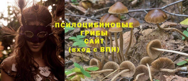 гашишное масло Аркадак