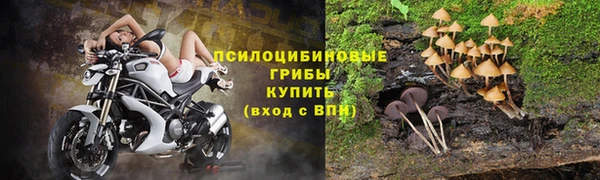 гашишное масло Аркадак