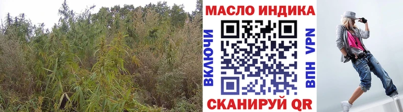ТГК вейп Белая Холуница