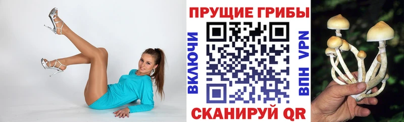 Галлюциногенные грибы MAGIC MUSHROOMS  omg сайт  Белая Холуница 